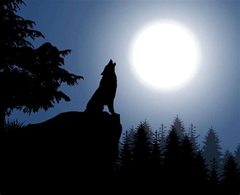 Wolf Moon Sportingbet